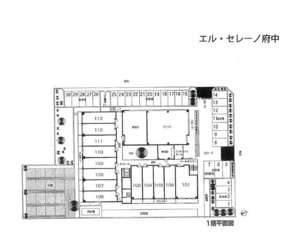 エル・セレーノ府中5階2LDK 自転車置き場の画像