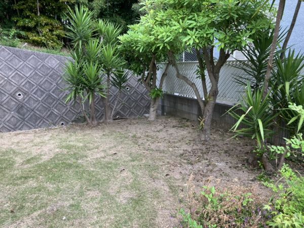 東豊中町戸建バルク1階3LDK その他設備の画像
