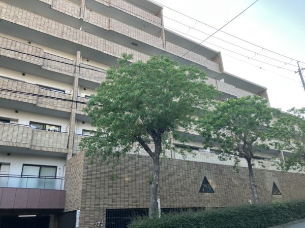 エトワール緑丘6階3LDK 外観の画像