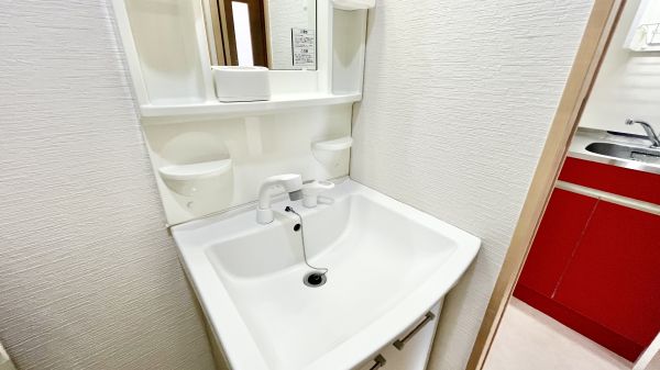 ルミエール大今里9階1K 洗面所の画像