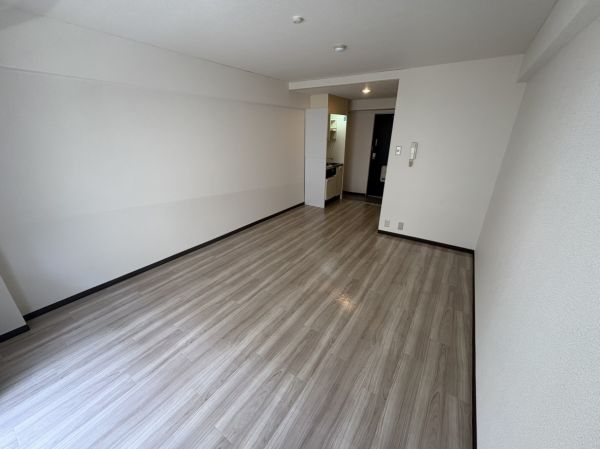 リリーフ明日香新石切2階1R 部屋①の画像
