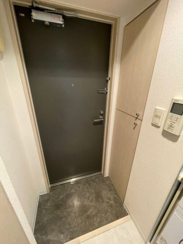 梅田レジデンスTOWER5階1K 玄関の画像