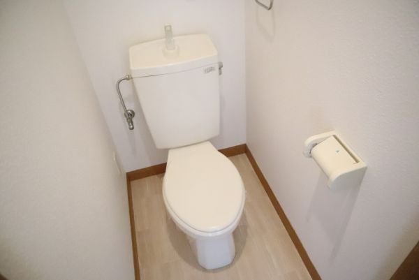 メゾンハイム1階2LDK トイレの画像