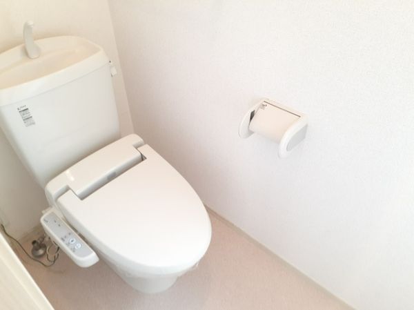 江坂町３丁目戸建賃貸2階3LDK トイレの画像