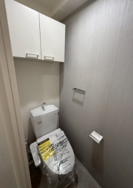 ドゥーエ南堀江3階1R トイレの画像