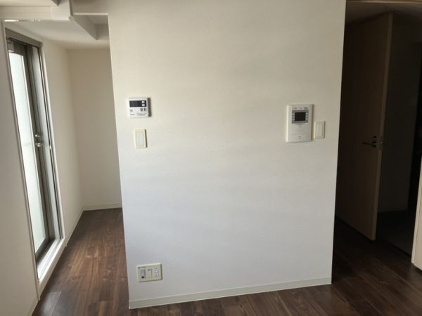スプランディッド難波元町DUE11階1R 部屋①の画像