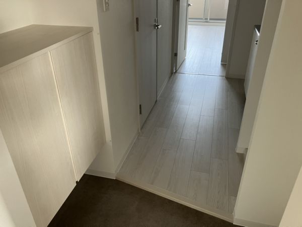 エグゼ大阪CITYアインツ8階1K 玄関の画像