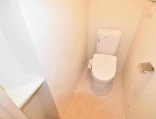 スプランディッド上本町WEST11階2LDK トイレの画像