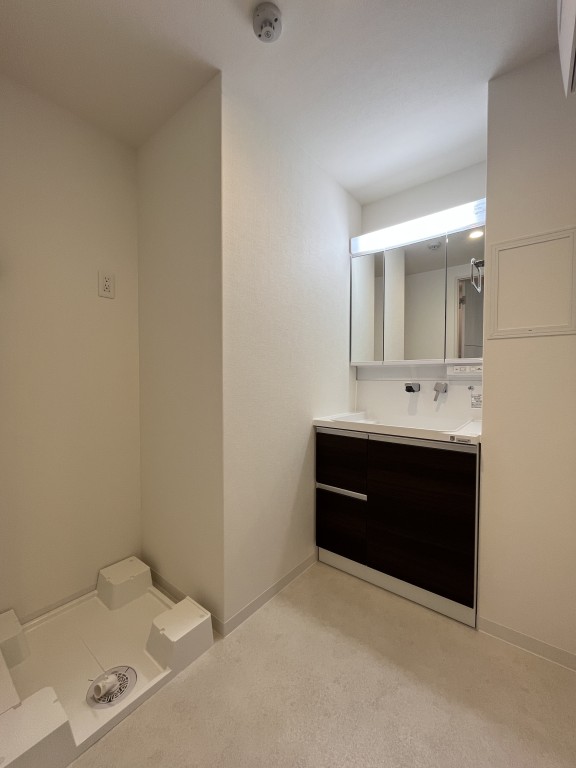 ディエスベアティ久宝寺口8階2LDK 洗面所の画像