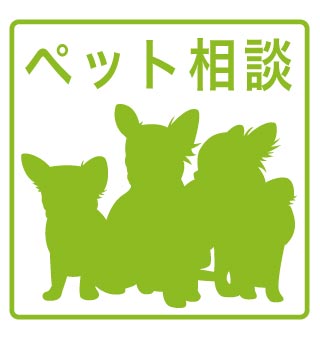 	リアライズ今里南9階1LDK その他①の画像