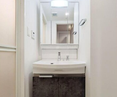 Alivis Shimo-Shinjo SoL TERRACE2階1LDK 洗面所の画像